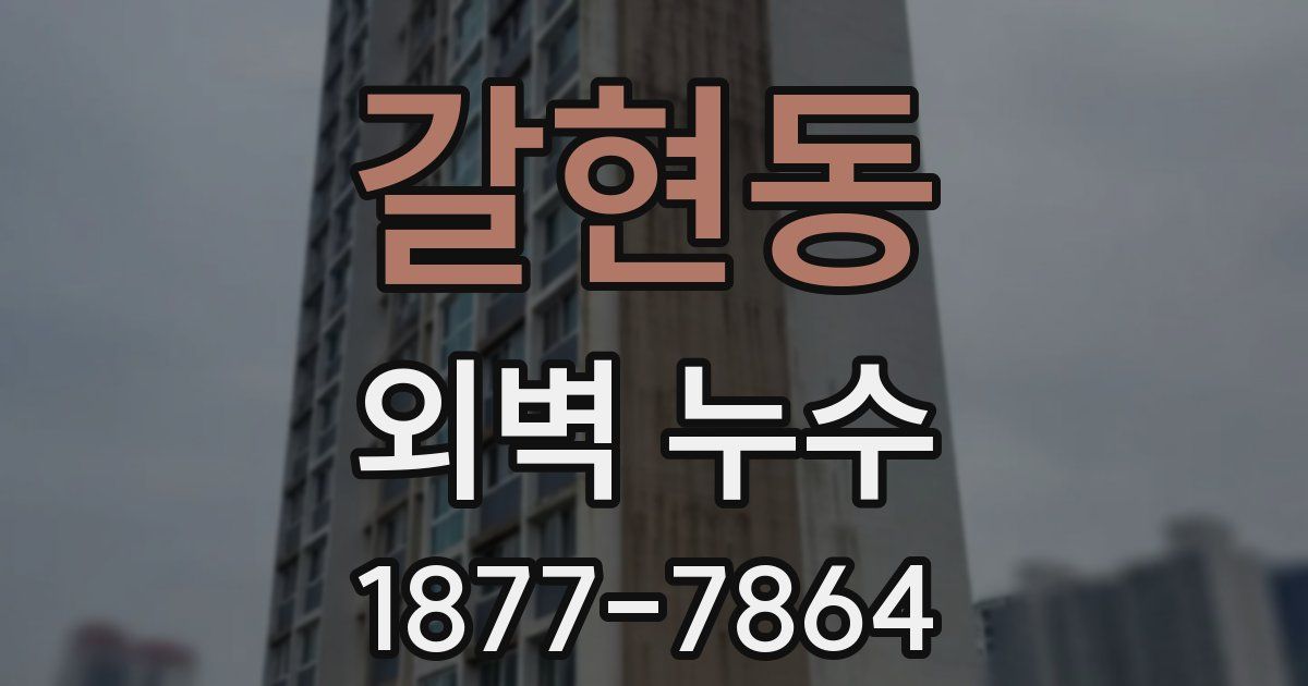 갈현동 외벽 누수
