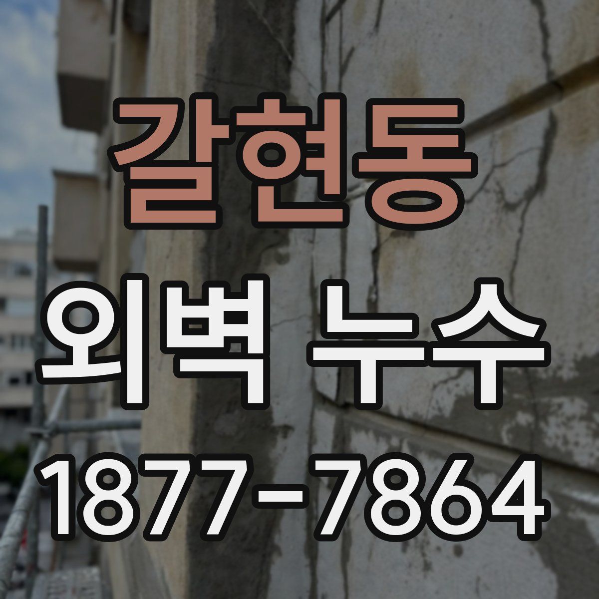 갈현동 외벽 누수