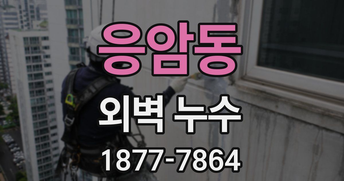 응암동 외벽 누수