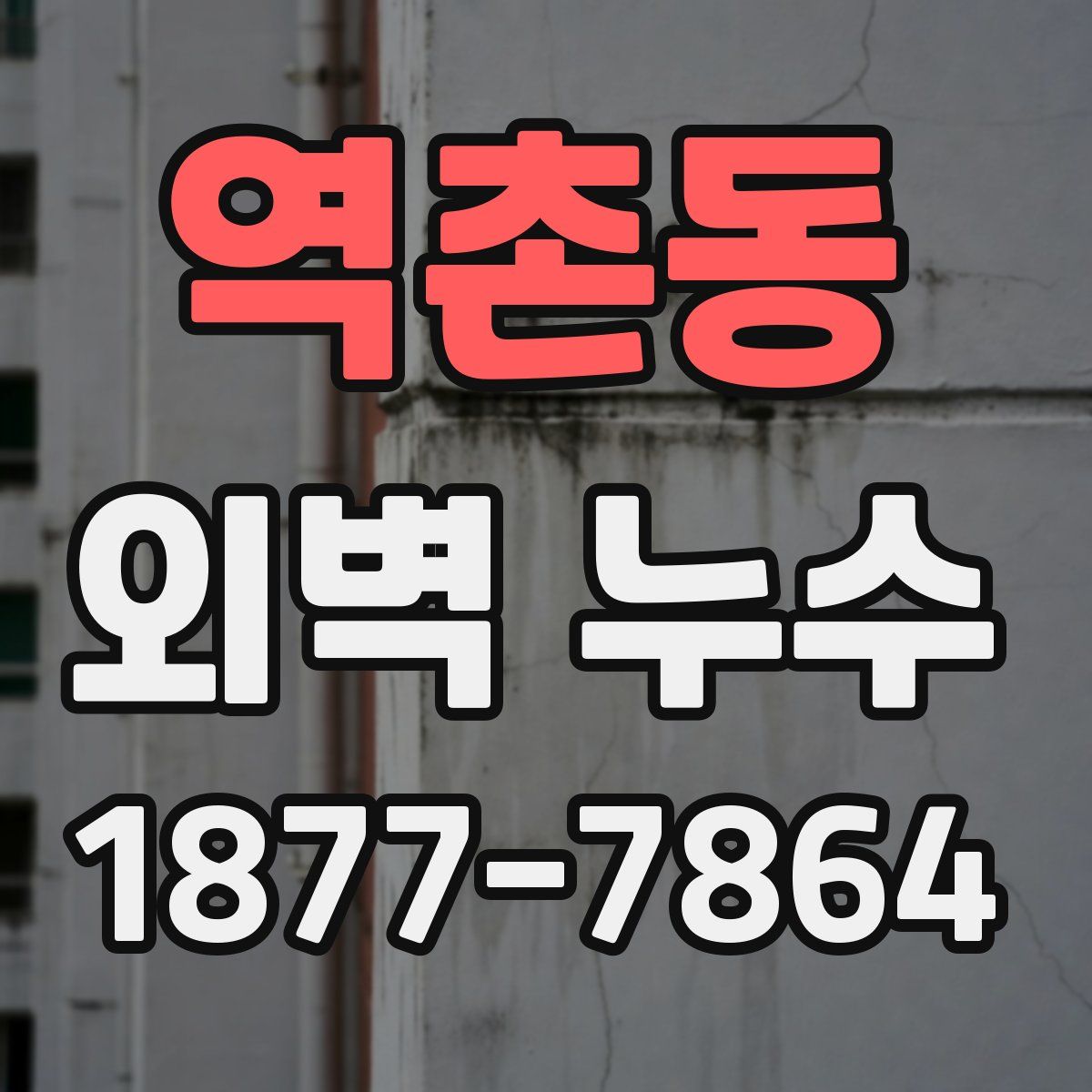 역촌동 외벽 누수