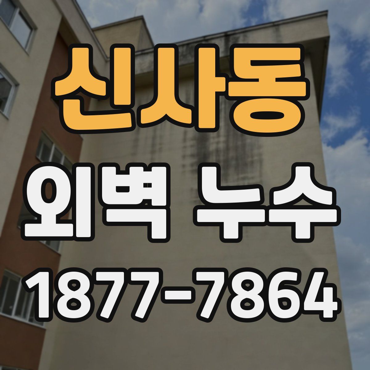 신사동 외벽 누수