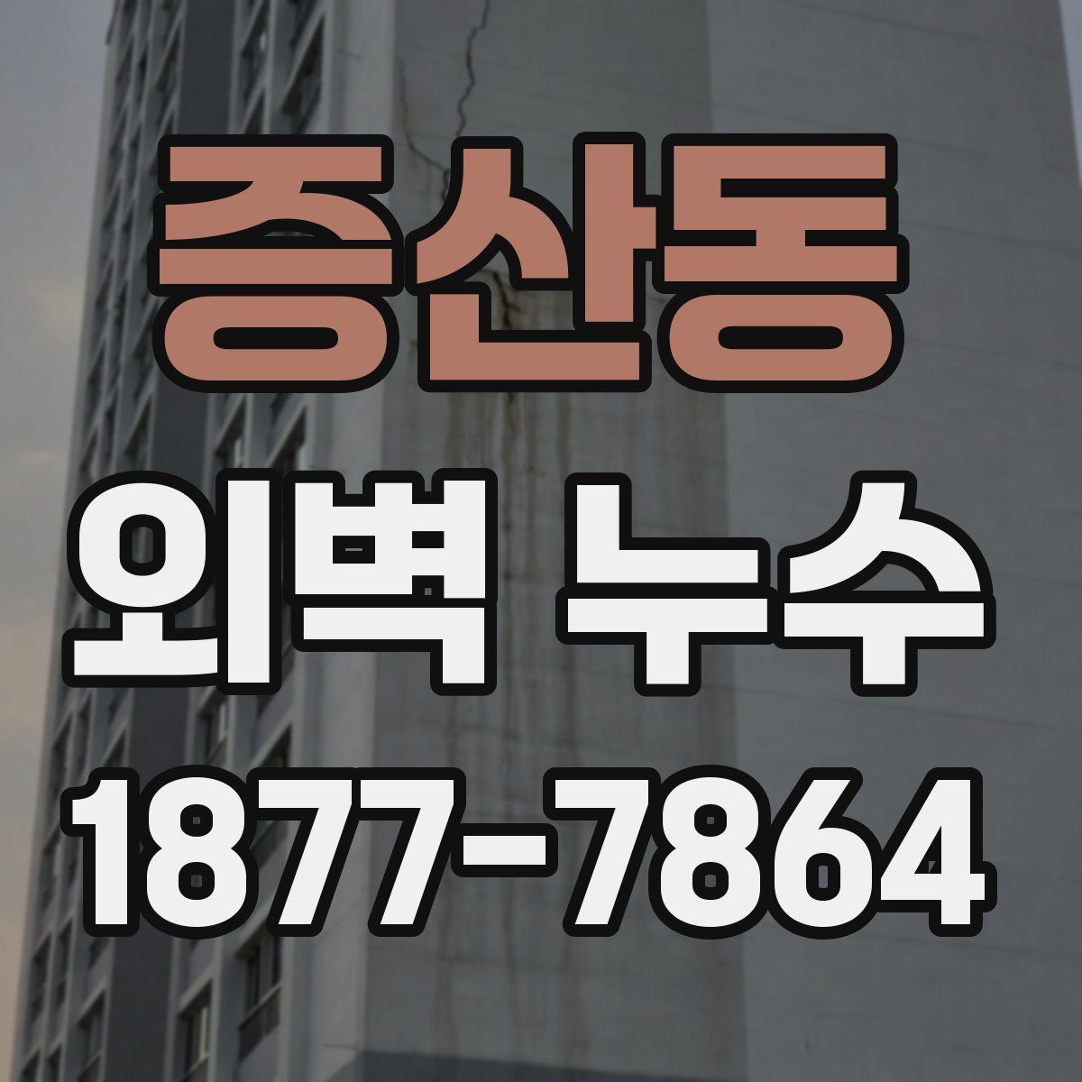 증산동 외벽 누수
