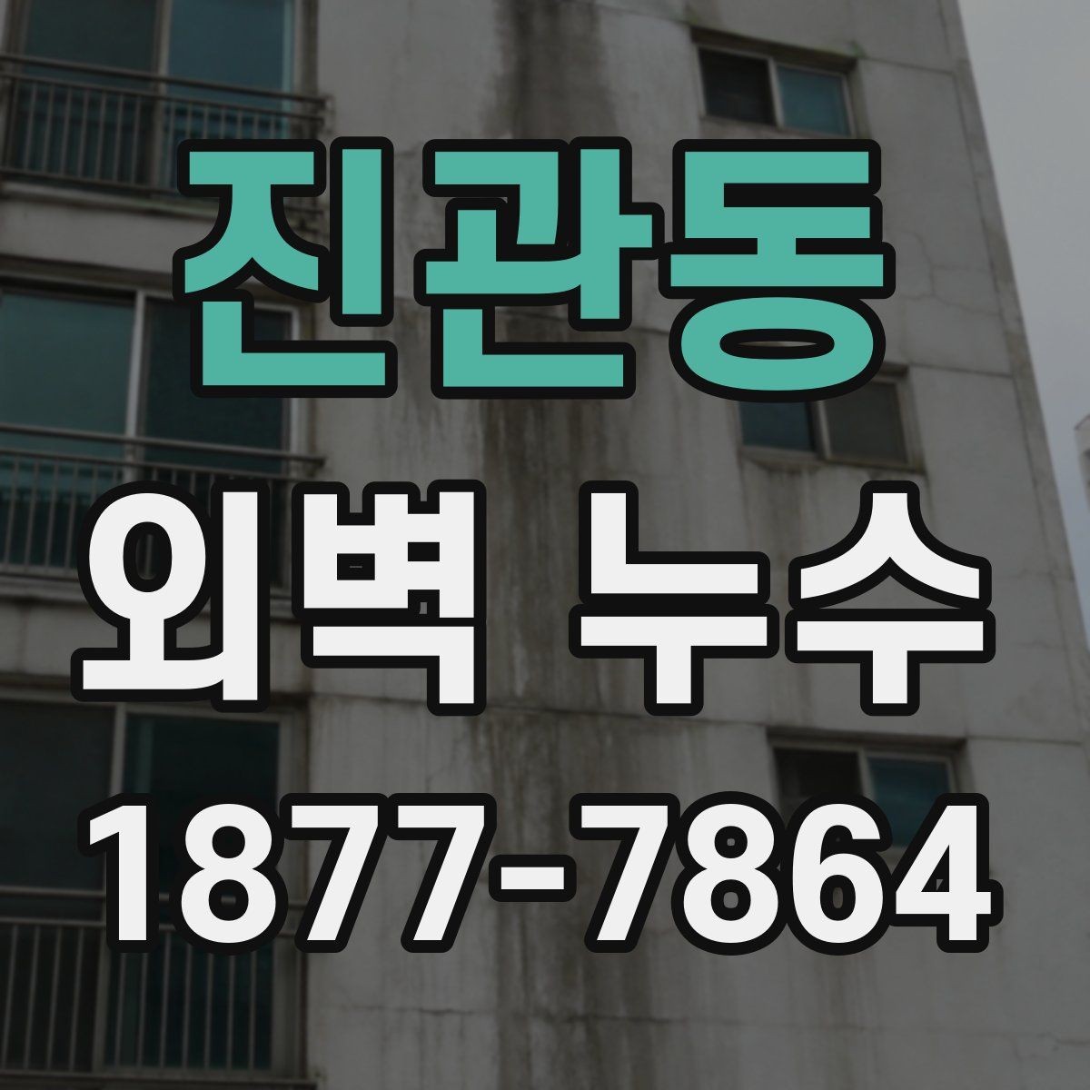 진관동 외벽 누수 원인 조사 시 자주 하는 착오