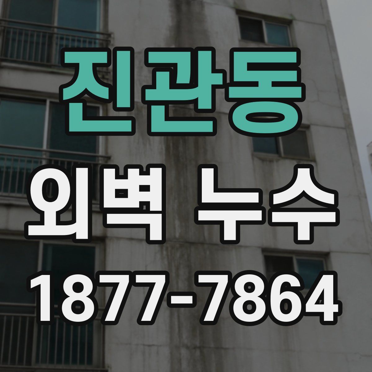 진관동 외벽 누수