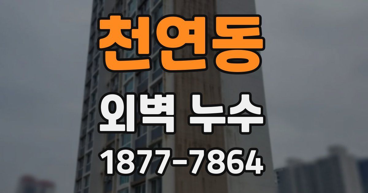 천연동 외벽 누수