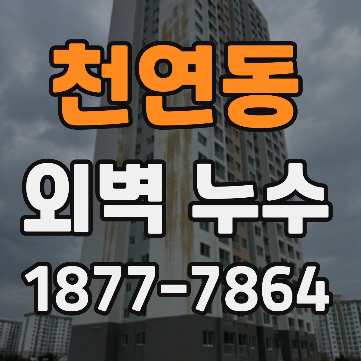 천연동 외벽 누수