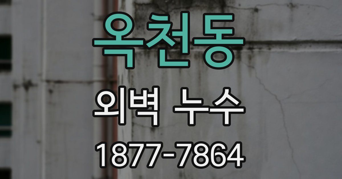 옥천동 외벽 누수