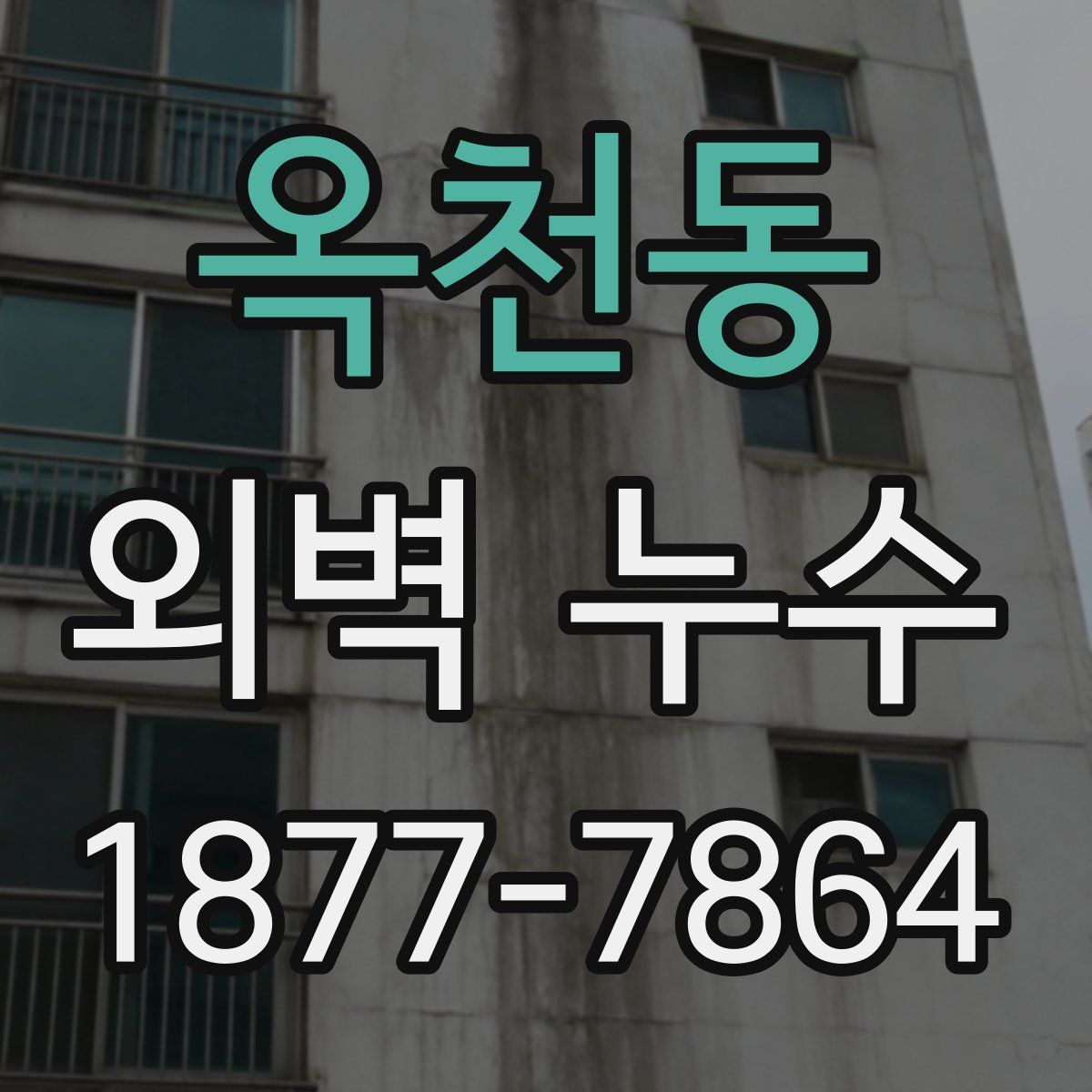 옥천동 외벽 누수