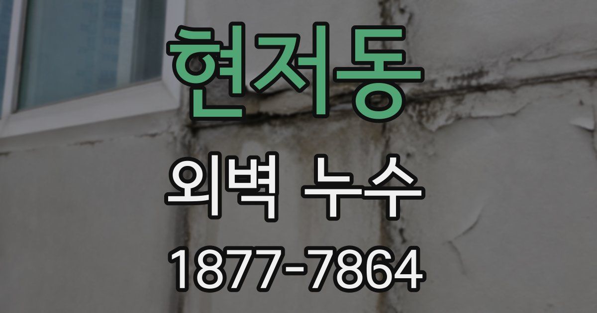현저동 외벽 누수