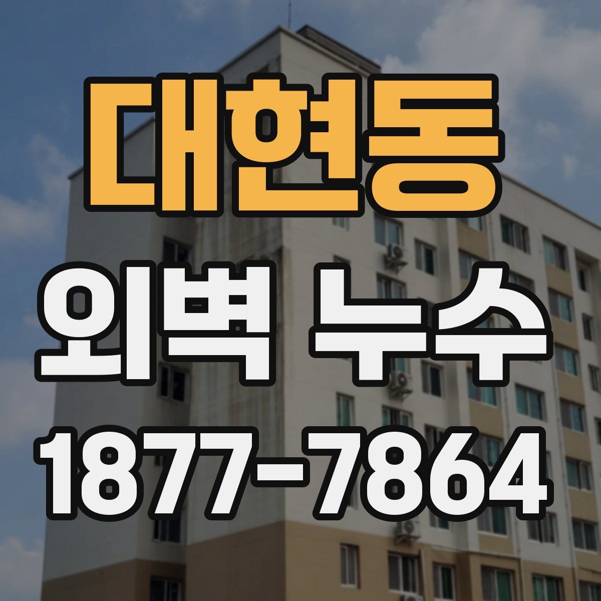 대현동 외벽 누수