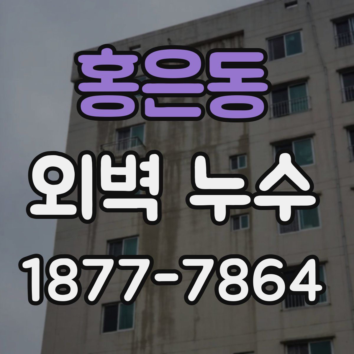 홍은동 외벽 누수