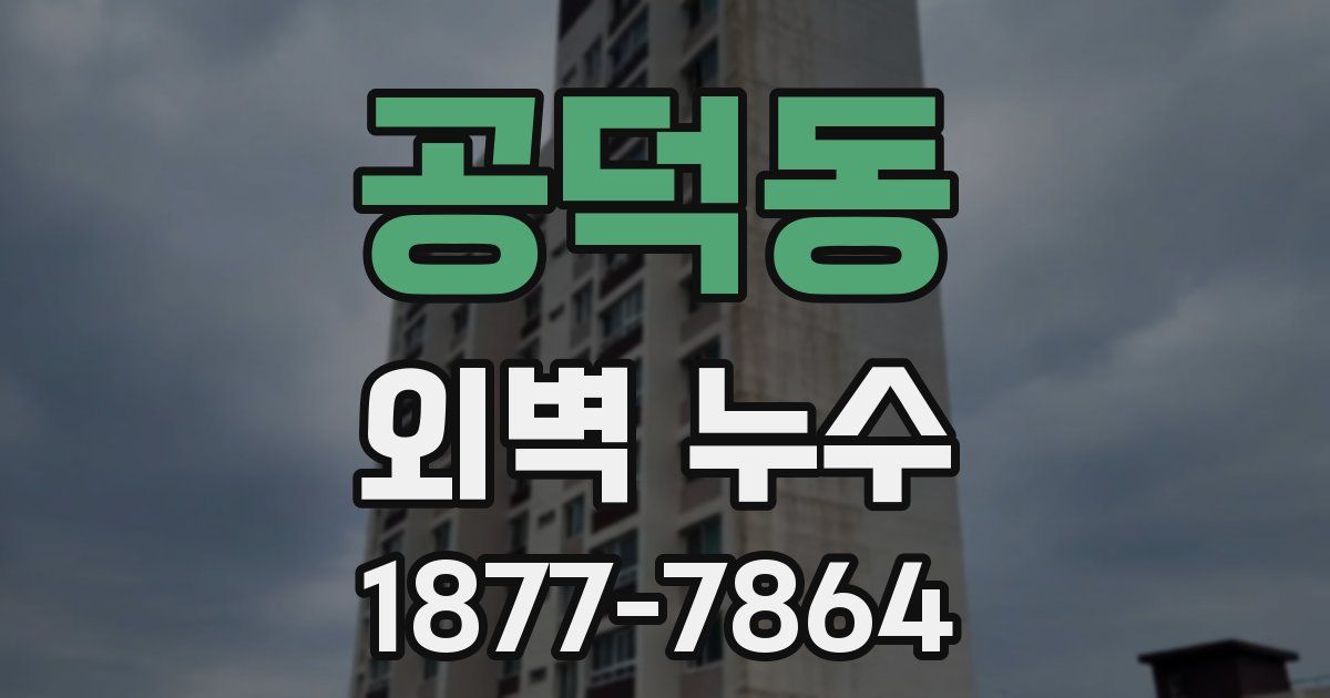 공덕동 외벽 누수