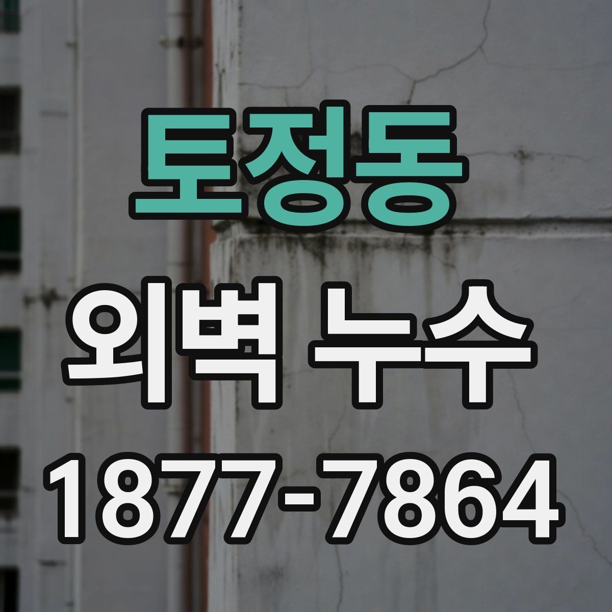 토정동 외벽 누수 진단 전 알아두면 좋은 절차