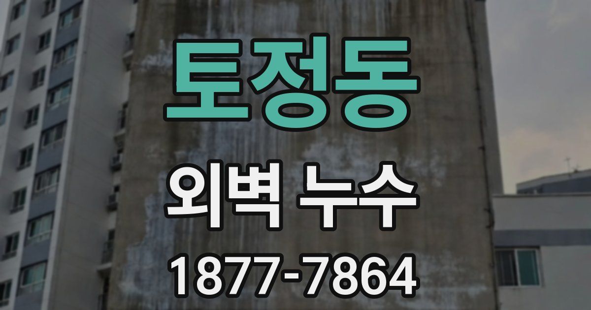 토정동 외벽 누수