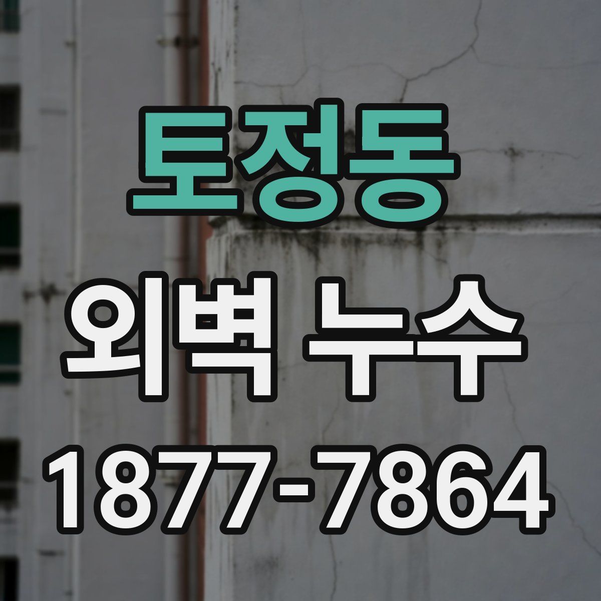 토정동 외벽 누수
