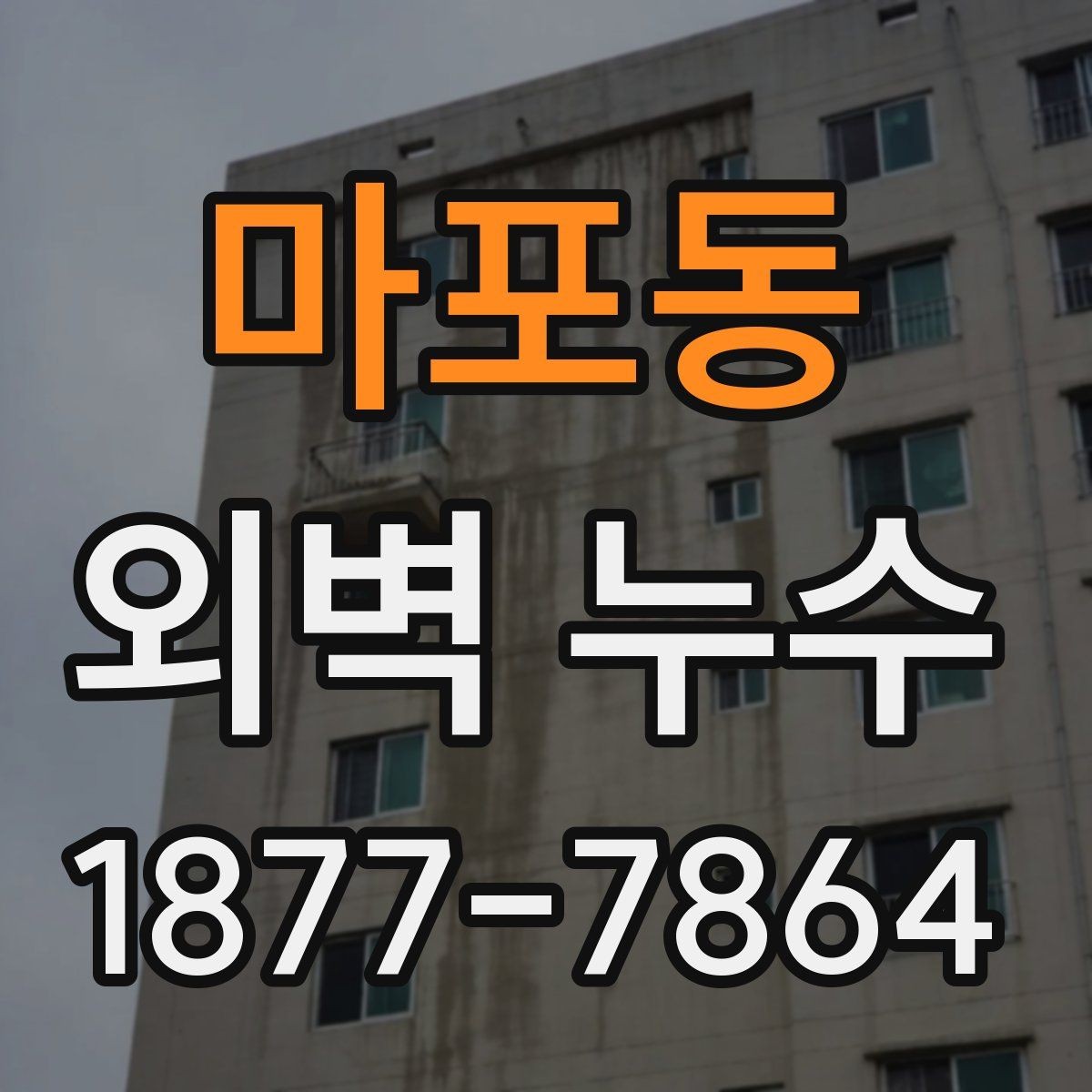 마포동 외벽 누수 수리 전 비용을 보는 기준