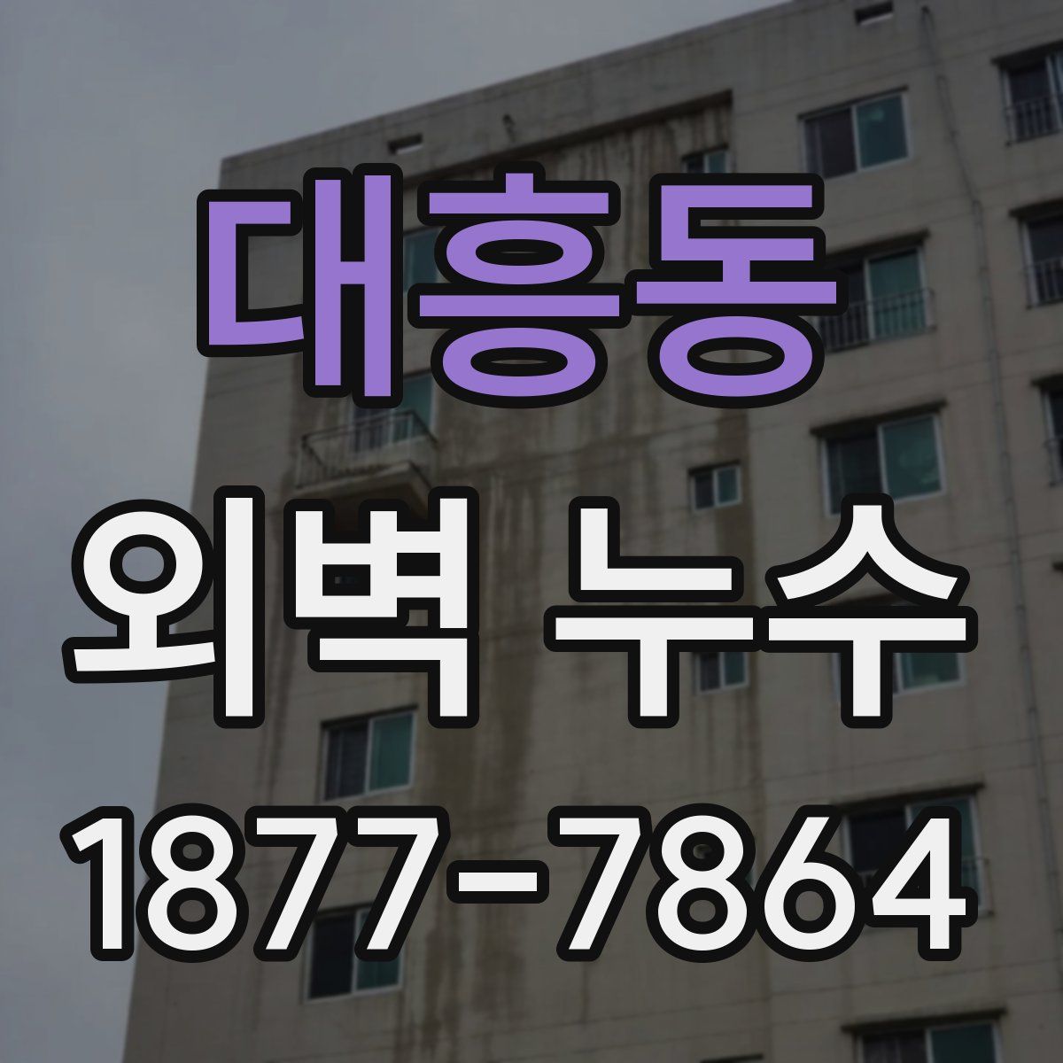 대흥동 외벽 누수