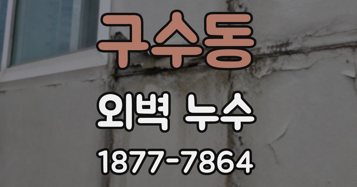구수동 외벽 누수