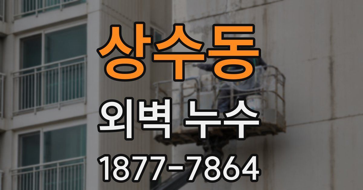 상수동 외벽 누수