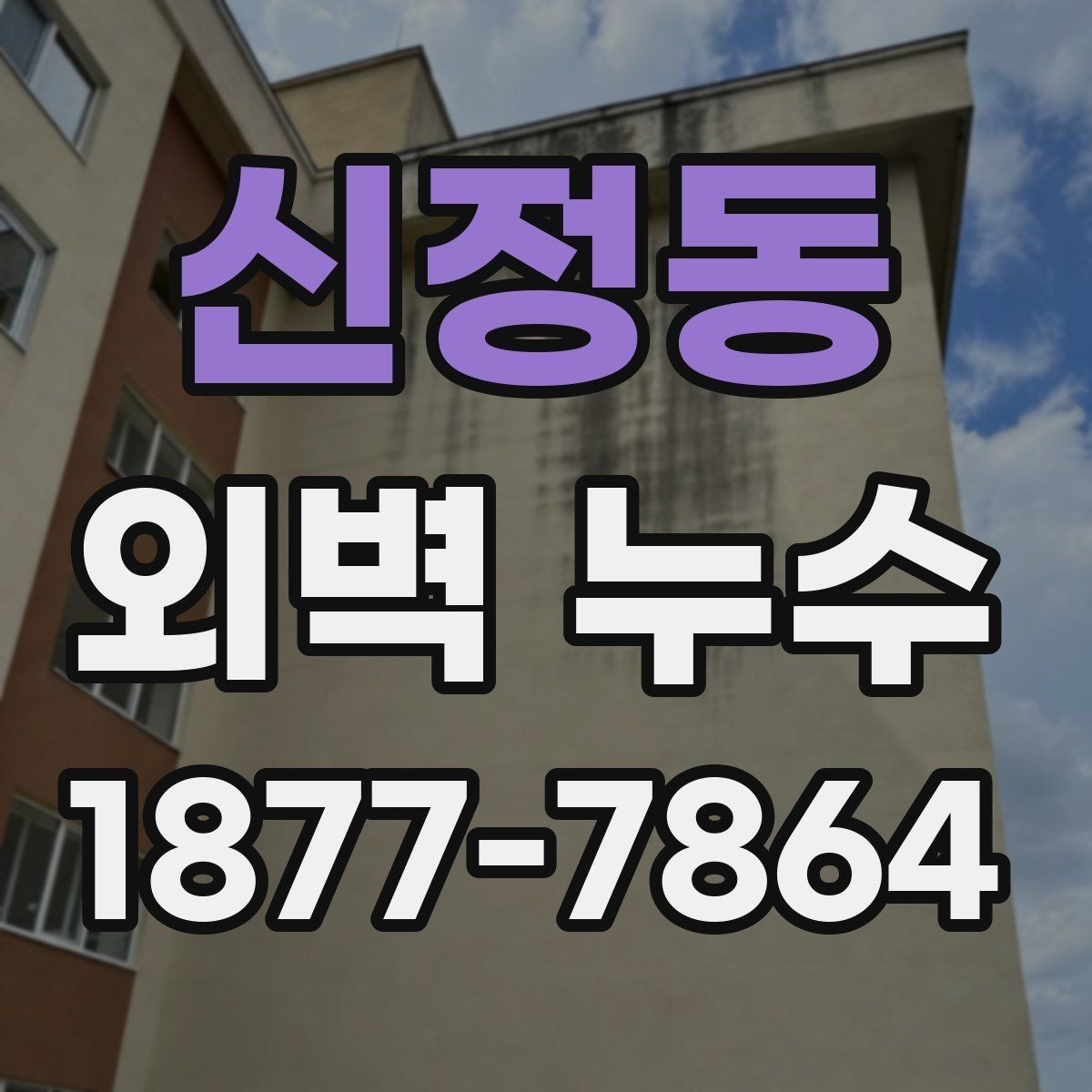 신정동 외벽 누수 의심 시 공사 전 비교해야 할 점