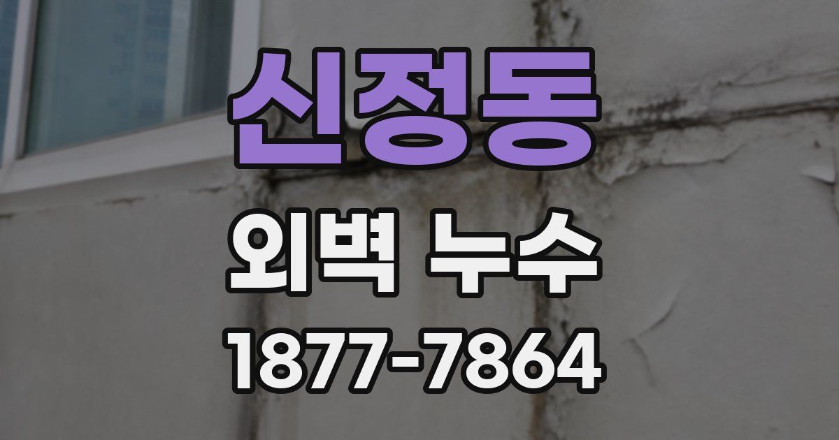 신정동 외벽 누수