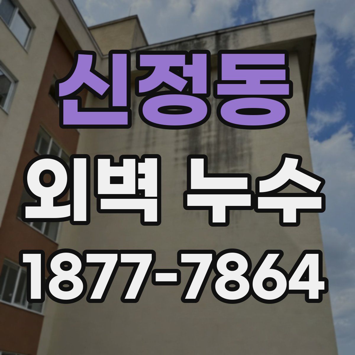 신정동 외벽 누수
