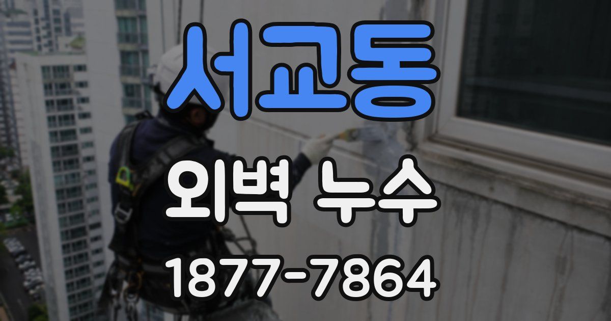 서교동 외벽 누수