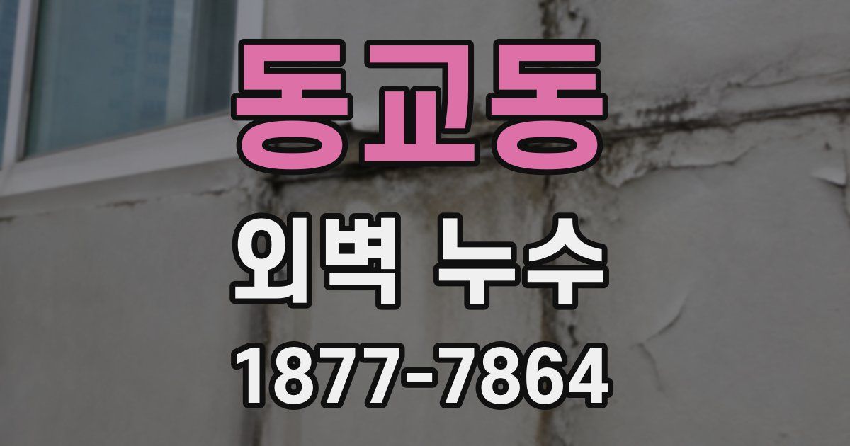 동교동 외벽 누수