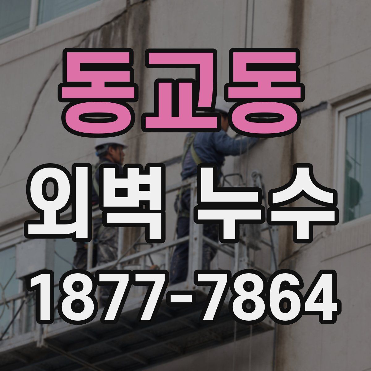 동교동 외벽 누수