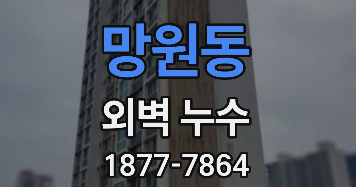 망원동 외벽 누수
