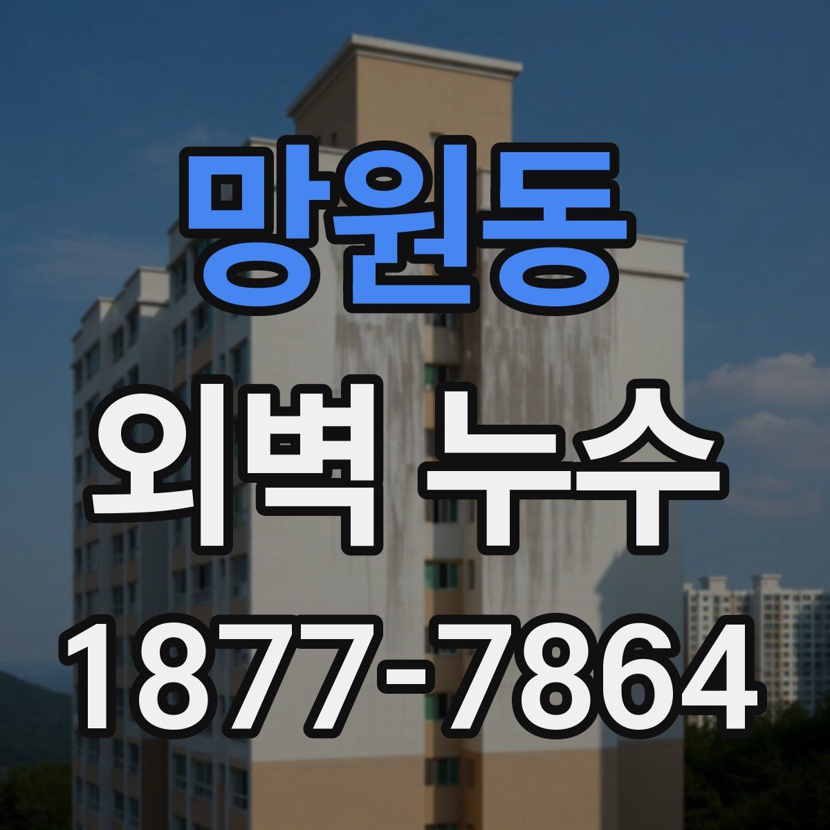 망원동 외벽 누수