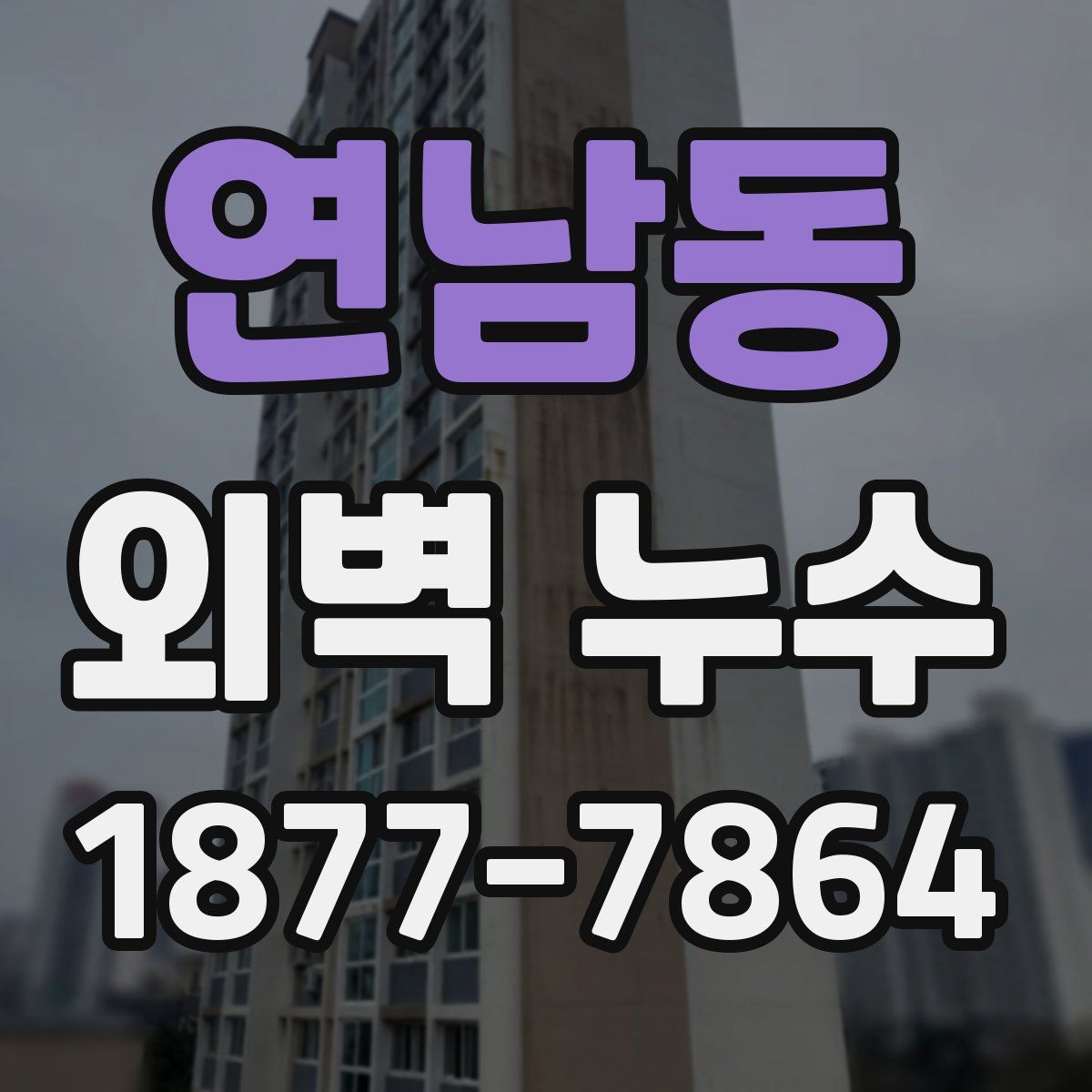 연남동 외벽 누수