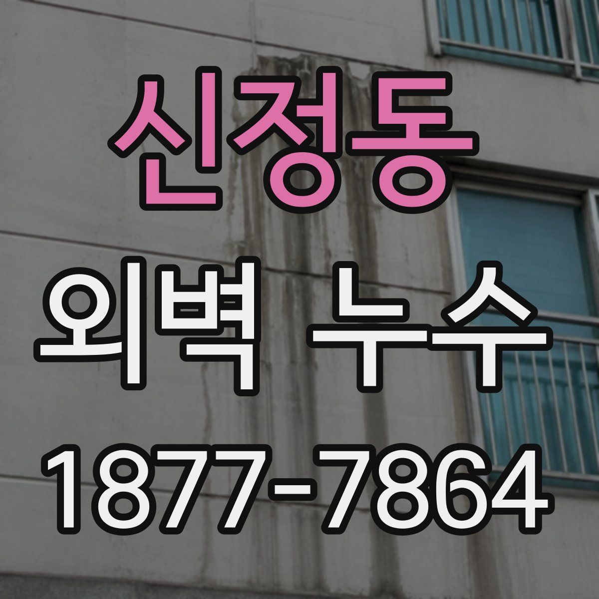 신정동 외벽 누수