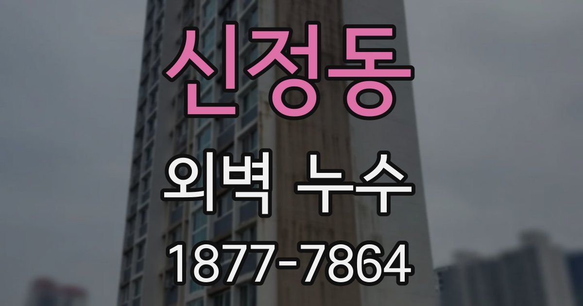 신정동 외벽 누수
