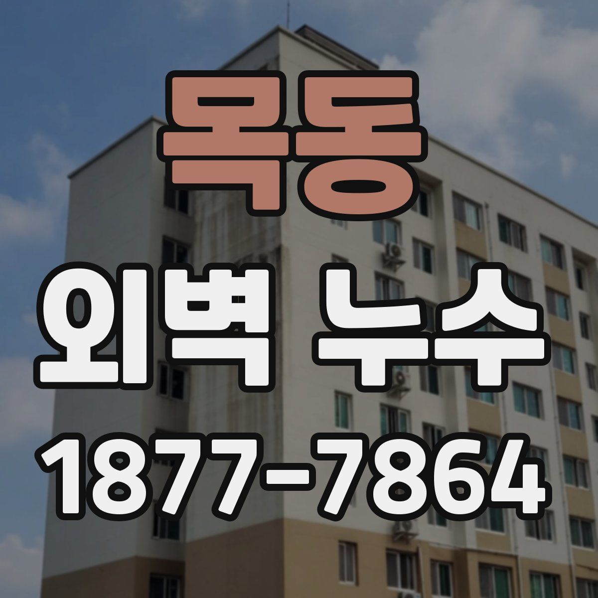 목동 외벽 누수