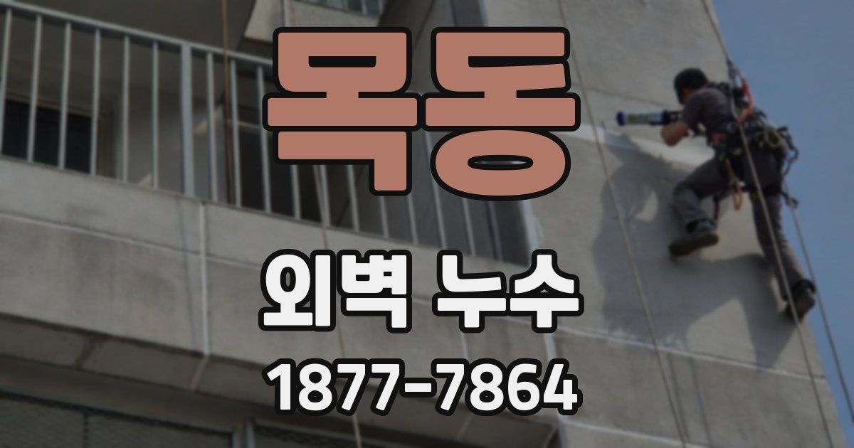 목동 외벽 누수