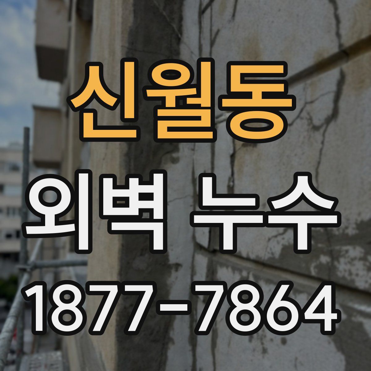 신월동 외벽 누수