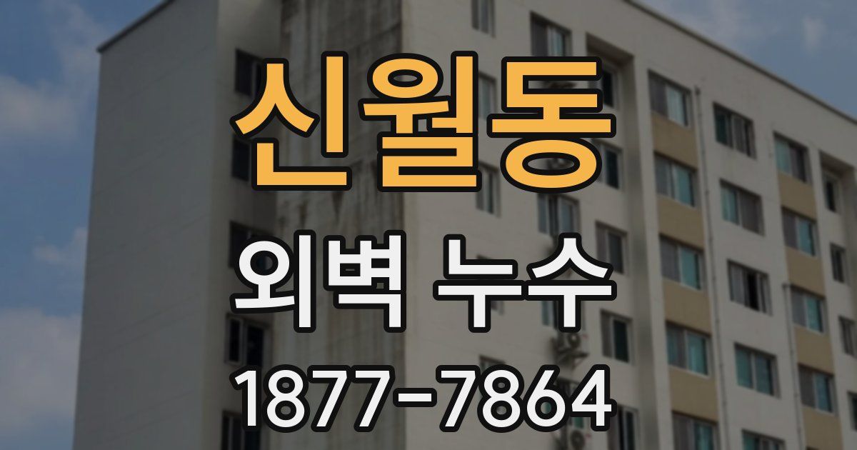 신월동 외벽 누수