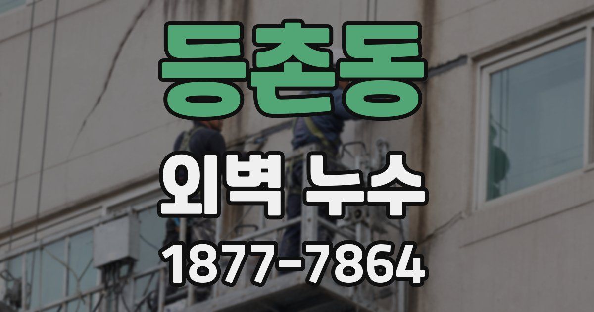 등촌동 외벽 누수