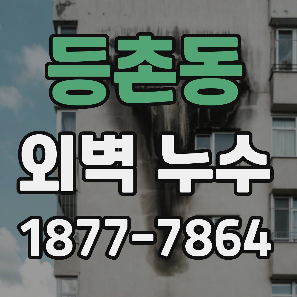 등촌동 외벽 누수