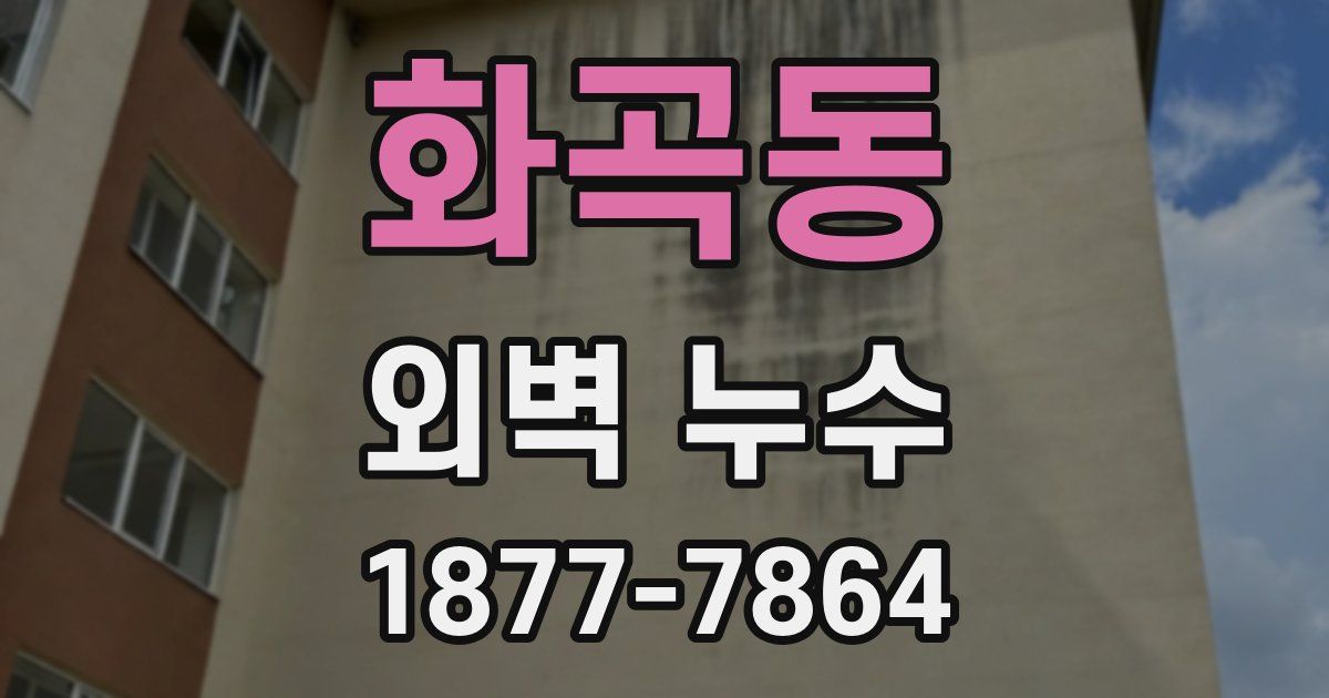 화곡동 외벽 누수