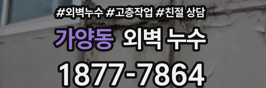 가양동 외벽 누수