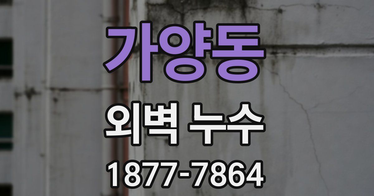 가양동 외벽 누수