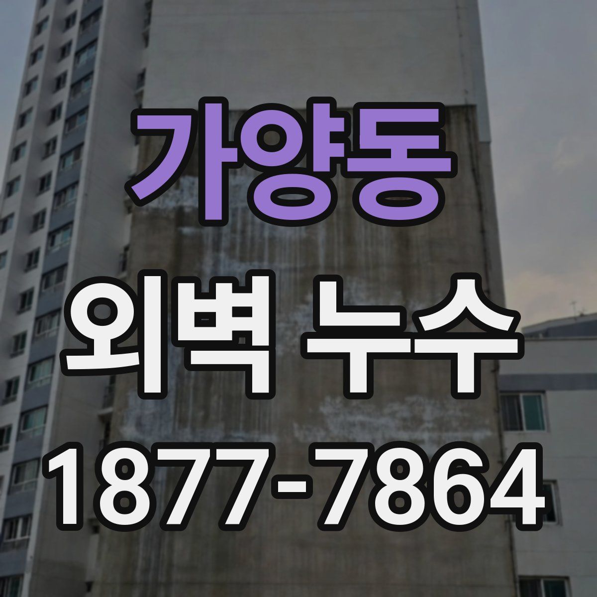 가양동 외벽 누수