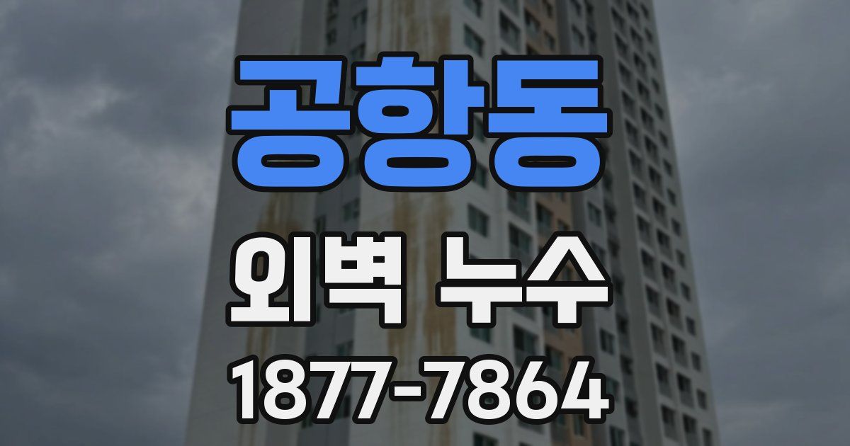 공항동 외벽 누수
