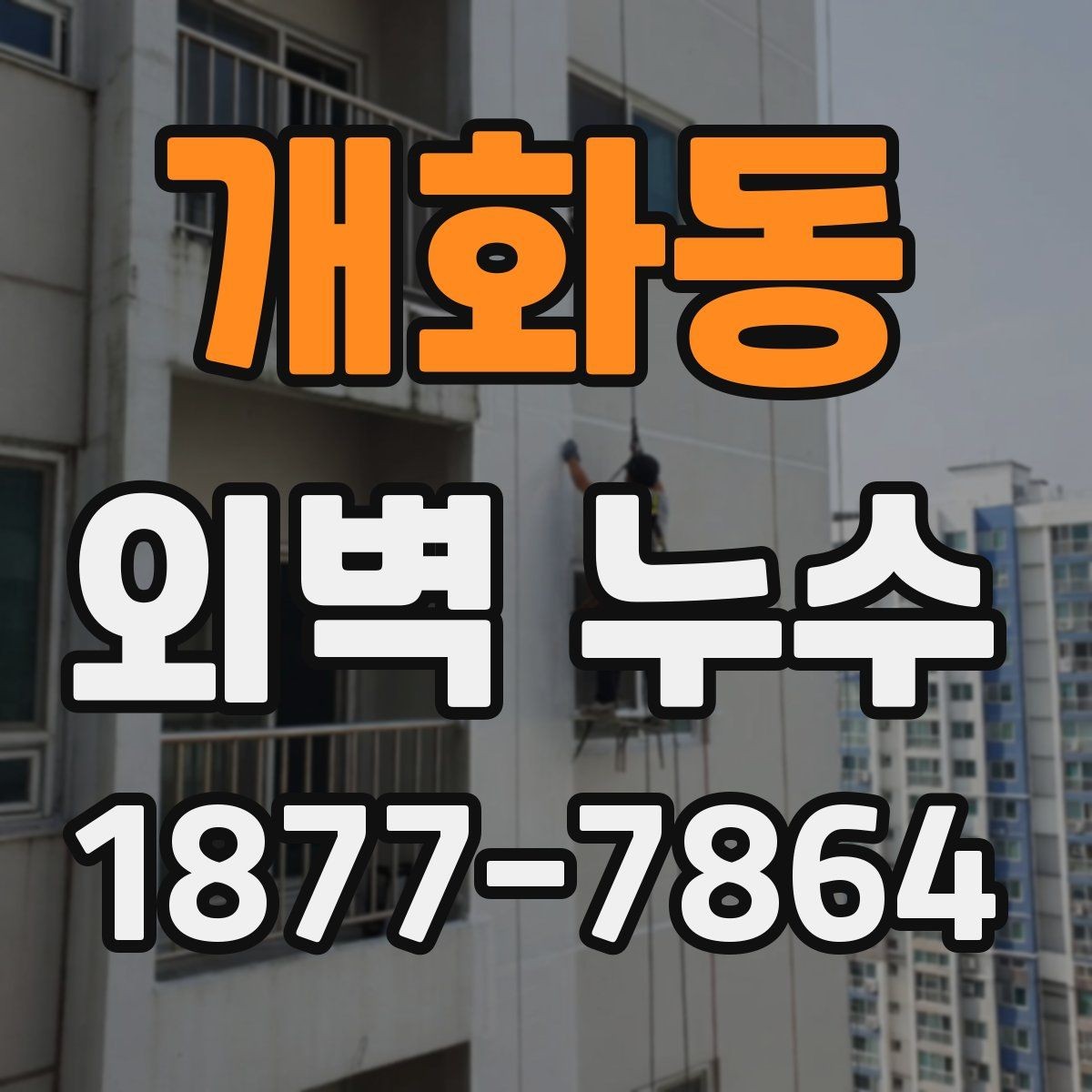 개화동 외벽 누수 현장 점검에서 보는 부분