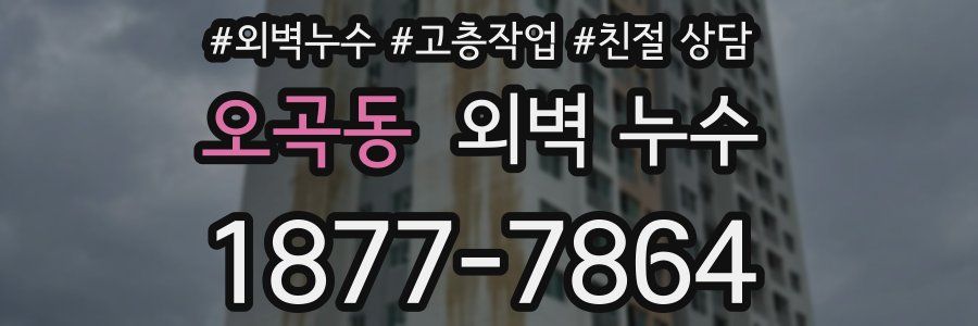 오곡동 외벽 누수