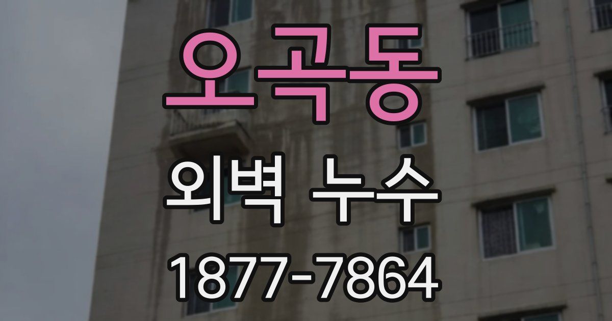 오곡동 외벽 누수