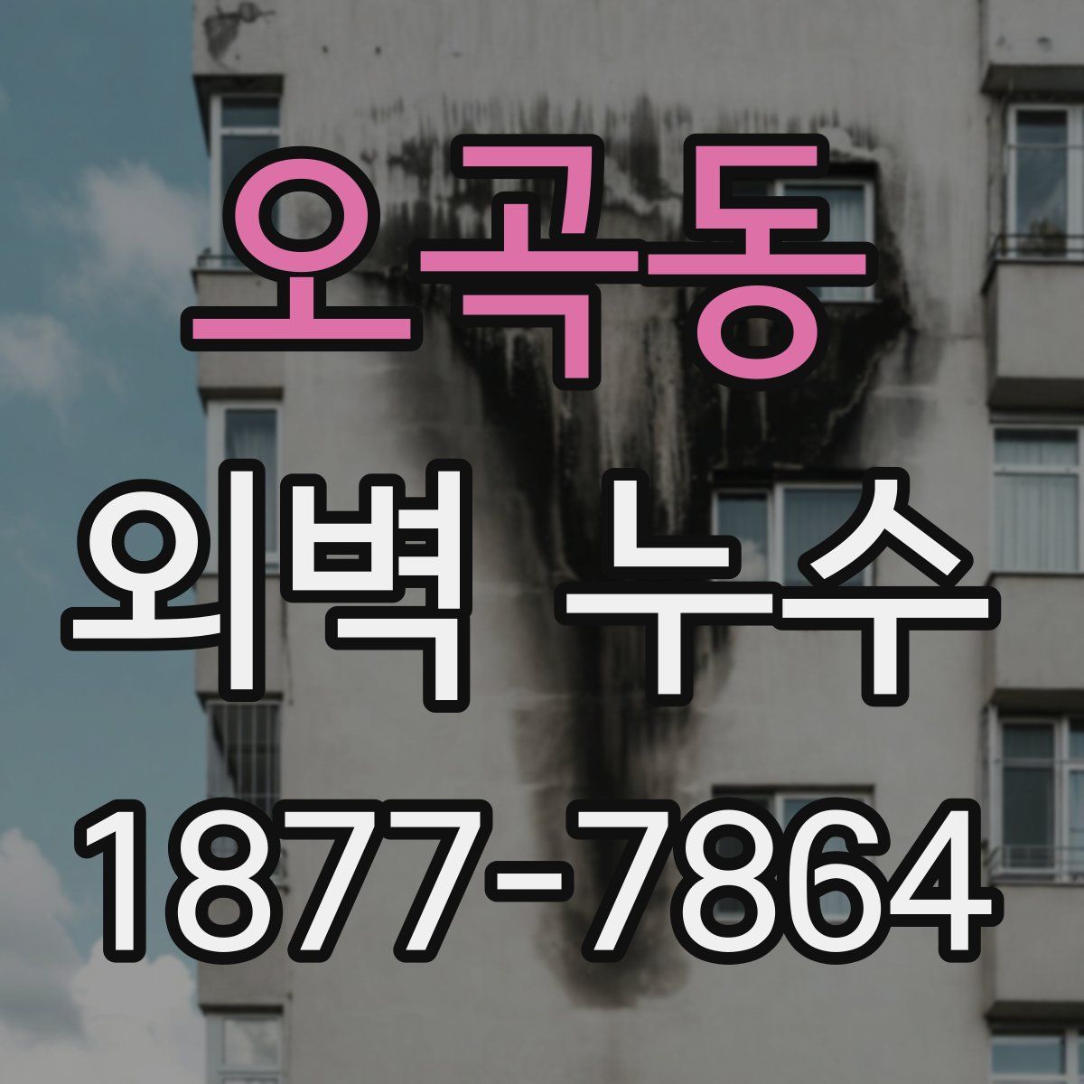 오곡동 외벽 누수