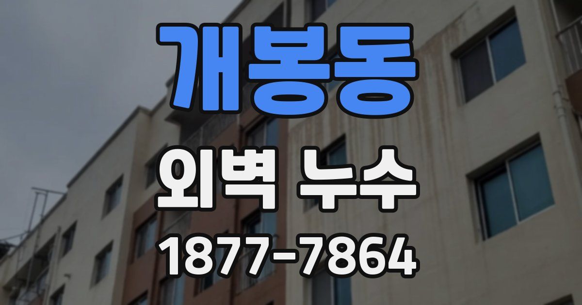 개봉동 외벽 누수
